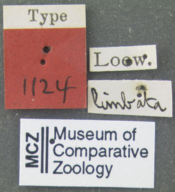 Media type: image;   Entomology 1124 Aspect: labels